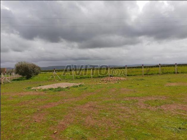Terrain de 1 hectare et 200m à Meknès Terrain de 1 hectare et 200m à Meknès