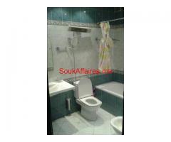 Bel Appartement de 100m2 Belvédère