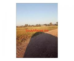 terrain 10000 m2 a route de casa