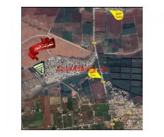 Lots des Terrains a Lotissement NOUR MADAGH