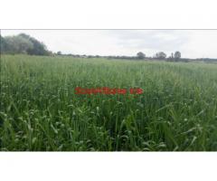 un héktar titre pour un proget