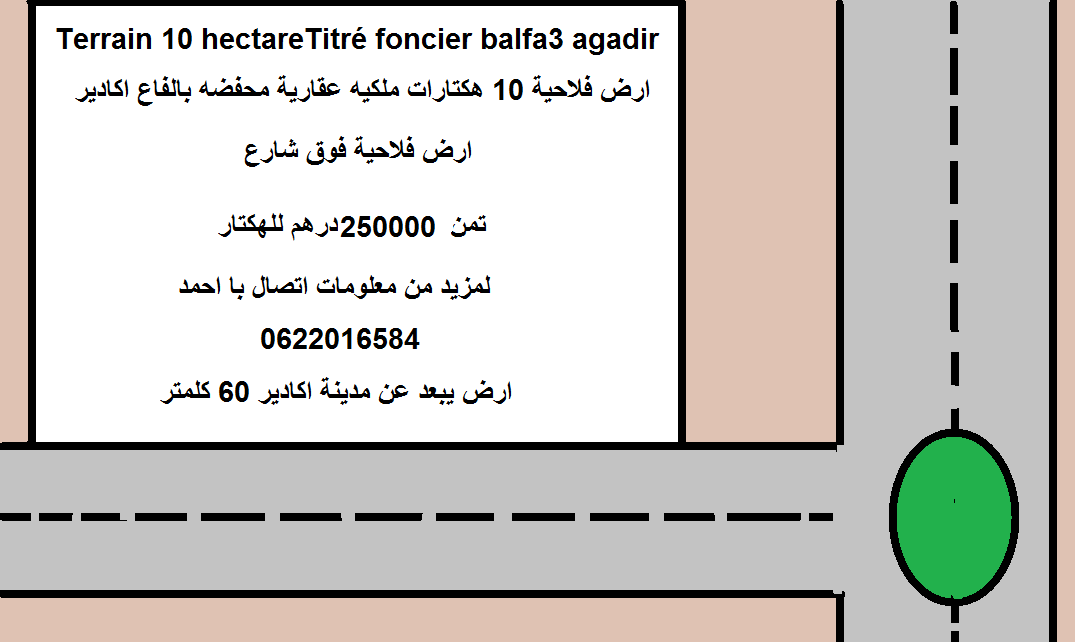 Terrain 10 hectareTitré foncier balfa3 agadir