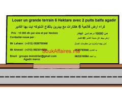 Louer un grande terrain 6 hektare avec 2 puits balfa agadir