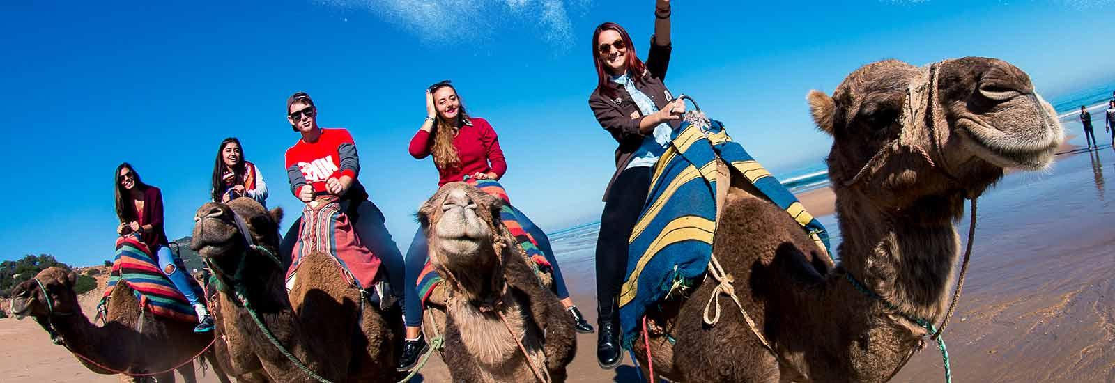 Excursiones Al Desierto Desde Marrakech