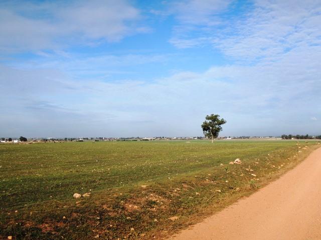 Terrain 22 Ha, Bouskoura - ouled saleh