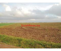 Terrain 22 Ha, Bouskoura - ouled saleh