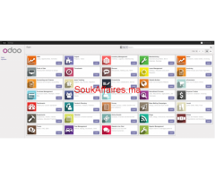 Intégrateur Odoo pour PME