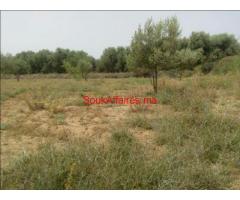 terrain 3200 m2 titrés a marrakech