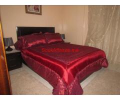 vente appartement entièrement rénové