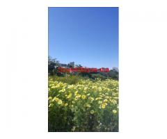 TERRAIN DE 900M² ADULAIRE A MNAR