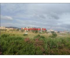 Terrain constructuble de 4000m² situé à AINMECHLAWA