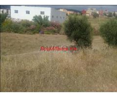 Terrain constructuble de 4000m² situé à AINMECHLAWA