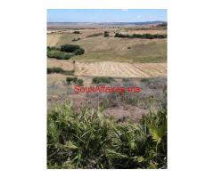 TERRAINS MOLKIA ALHAD GHARBIA DE 495M2