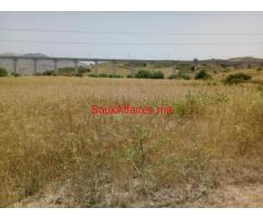 TERRAINS MOLKIA ALHAD GHARBIA DE 495M2