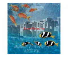 votre villa duplex haut standing pres de la mer