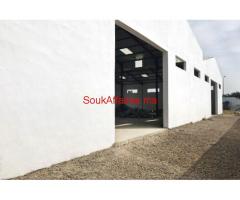 Batiment industriel 1700 m², Bir Rami