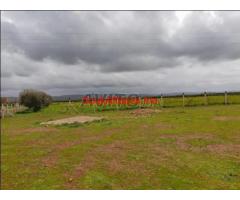 Terrain de 1 hectare et 200m à Meknès Terrain de 1 hectare et 200m à Meknès