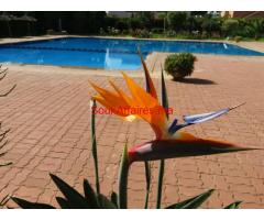 Appartement 91m2 avec piscine au bord de mer Mohammedia.