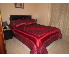 vente appartement entièrement rénové