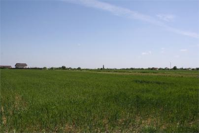 Terrain agricole de 180000 m²