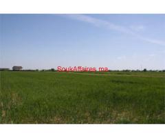 Terrain agricole de 180000 m²