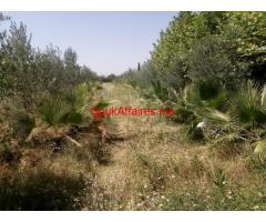 Terrain de 3 ha à vendre route de l'ourika