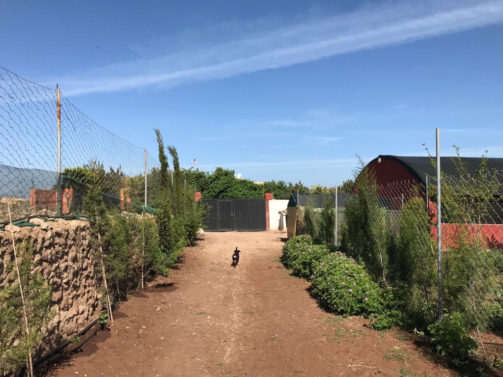 ferme titrée pour maison de campagne Azzemmour