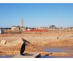 Terrain titré a vendre (10 Ha) viabilisable avec plan d’aménagement a El Jadida