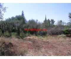 Terrain constructible 1 ha à vendre route de l'ourika