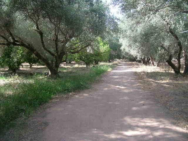 Ferme à vendre km 9 route de Fes Marrakech