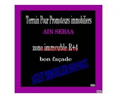 Terrain R+4 Pour promoteur immobilier AIN SEBAA