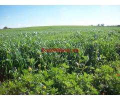 Lot de terrain R+2 commercial à bouskoura stabilité et rentabilité