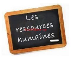 Assistant(e)s des ressources humaines
