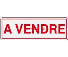 DIVERS PLATEAUX BUREAUX DE DIFFÉRENTES SUP