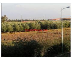 TERRAIN DE 2 HECTARES SUR LA ROUTE OURIKA