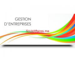 Formation Gestion des Entreprises