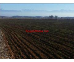 Terrain de 10000 m2 Route de Casablanca